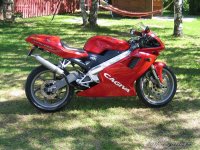 bikepics-608639-800[1].jpg
