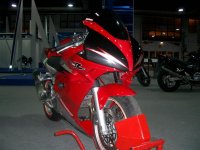 IMGP4822 (Medium).JPG