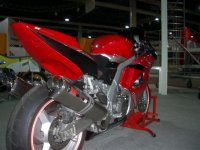 IMGP4821 (Small).JPG