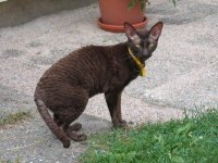 IMG_1200.jpg