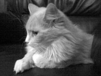 DSC00060.JPG