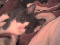 DSC00030.JPG
