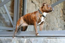 IMG_1320fixad_liten.jpg