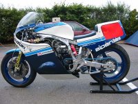 gsxr-84-race01.jpg