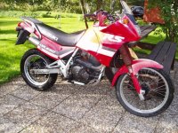 DR650 (568 x 426).jpg