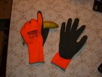 CIMG0905 (Large).JPG