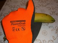 CIMG0906 (Large).JPG