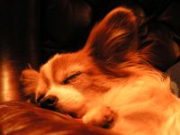 PICT0011 (Small).JPG