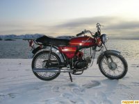 sk50.jpg