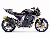 z1000-2.jpg