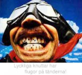 lyckliga_knuttar_window[1].jpg