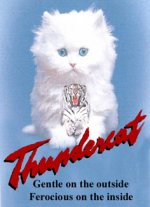 thundercatlogga.jpg