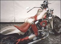 img_31042.jpg