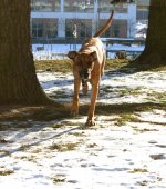 Russel-045web.jpg