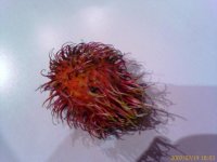 200702191803_00597.jpg