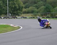 Wille 2003.JPG