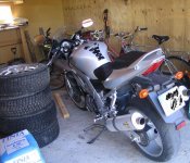 sv 1000 03.JPG
