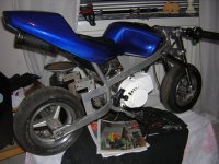 mini 11 021.jpg