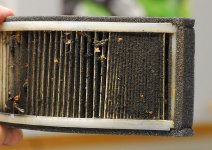 filter2.jpg