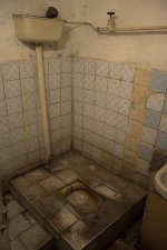 113676675-L.jpg