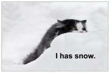96501_kat_i_has_snow_123_91lo.jpg