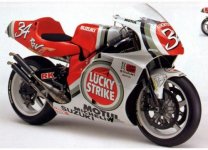BIKE1995.sized.jpg