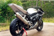 R1b.jpg