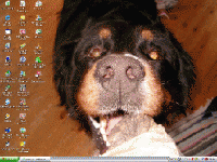 namnlös.gif