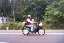 thaimoppe.jpg