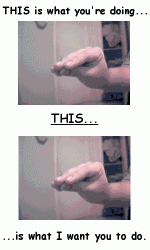 stfu.gif