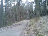 Bild011 (Medium).jpg