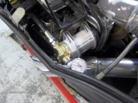 Lynx-plenum 046.jpg