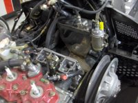 Lynx-plenum 048.jpg