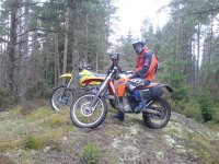 DSC01637 (Medium).JPG