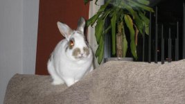 IMG_0369_2.JPG