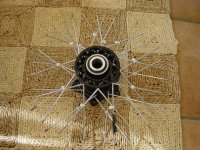 DSC03309.jpg