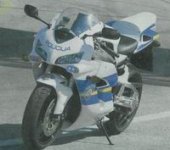 PolicijaHond1V.jpg