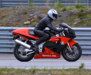 suzuki.jpg