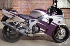 cbr - lila.jpg