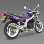DPTN_SUZ_GS500_89_RSB.jpg
