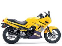 kawasaki_ninja250r_smaller.jpg
