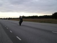 busfrö 2.jpg