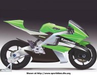 kawasaki%2ejpg.jpg