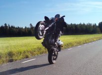 wheelie5.JPG
