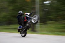 IMG_2223.jpg