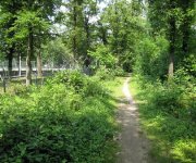 test6.jpg