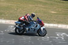 IMG_2805.jpg