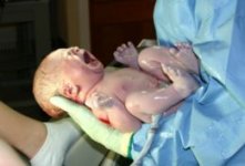 260px-HumanNewborn.JPG