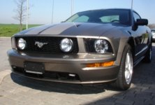 Mustang 2a.jpg
