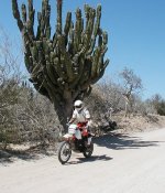 Desert.jpg